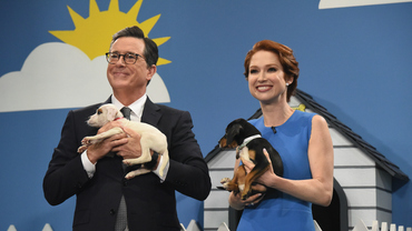 The Only Thing More Adorable Than Ellie Kemper Might Be These 9 Puppies